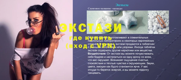 СК Алексин