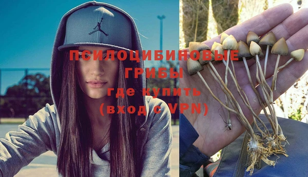 гашик Алзамай