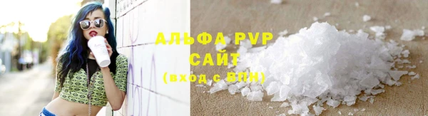 СК Алексин