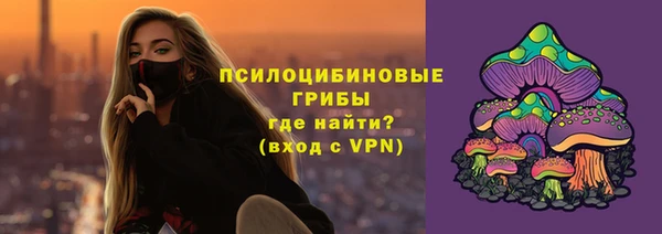 СК Алексин