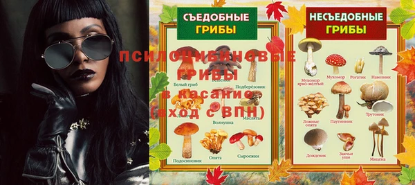 гашик Алзамай