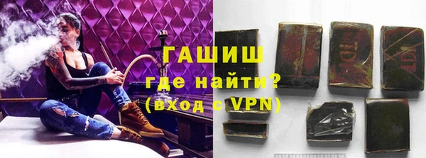 СК Алексин